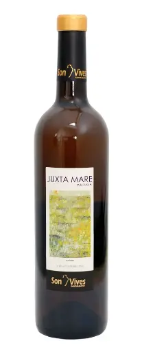 Juxta Mare 2018 Son Vives